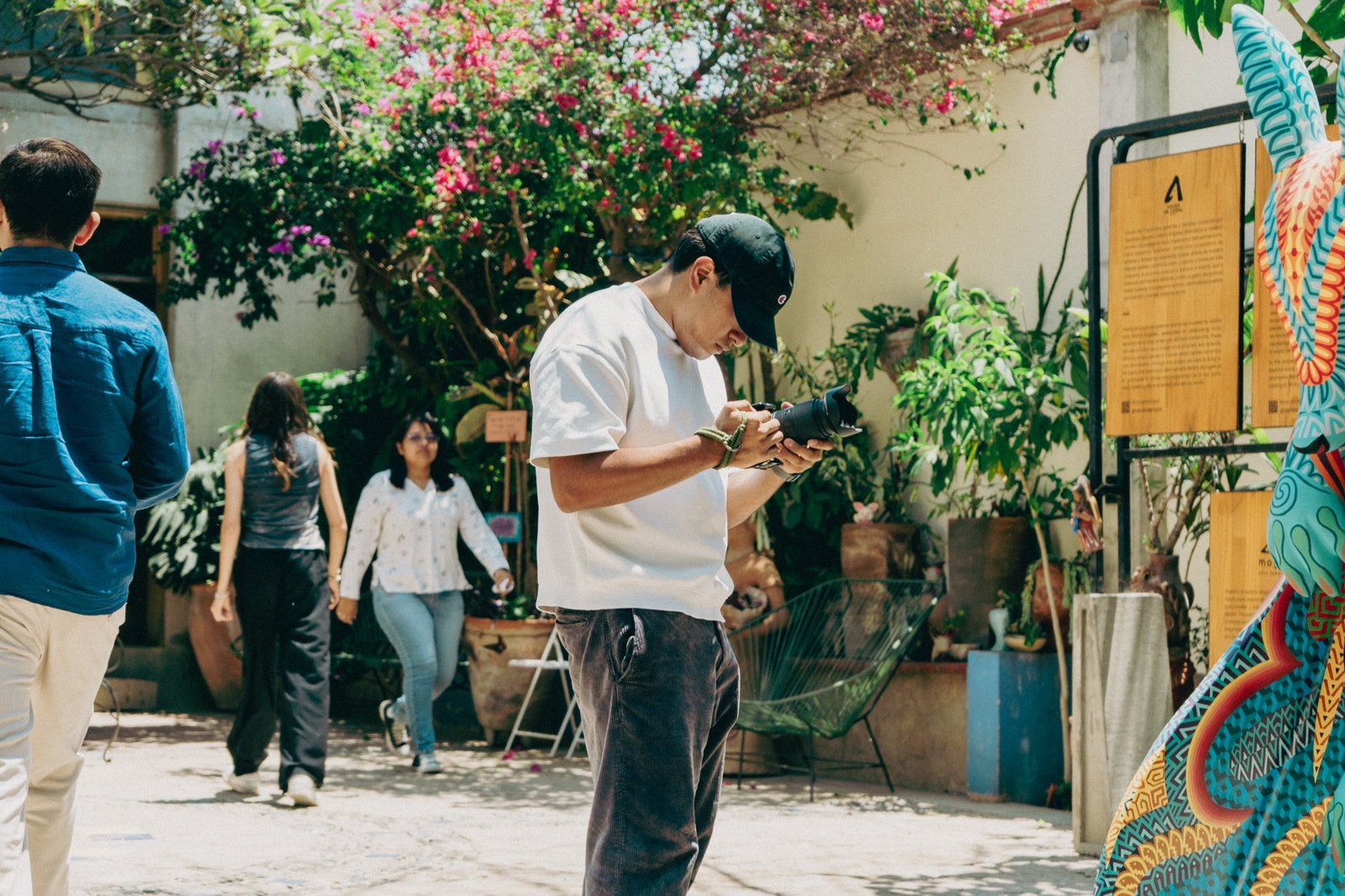 Oaxaca en color